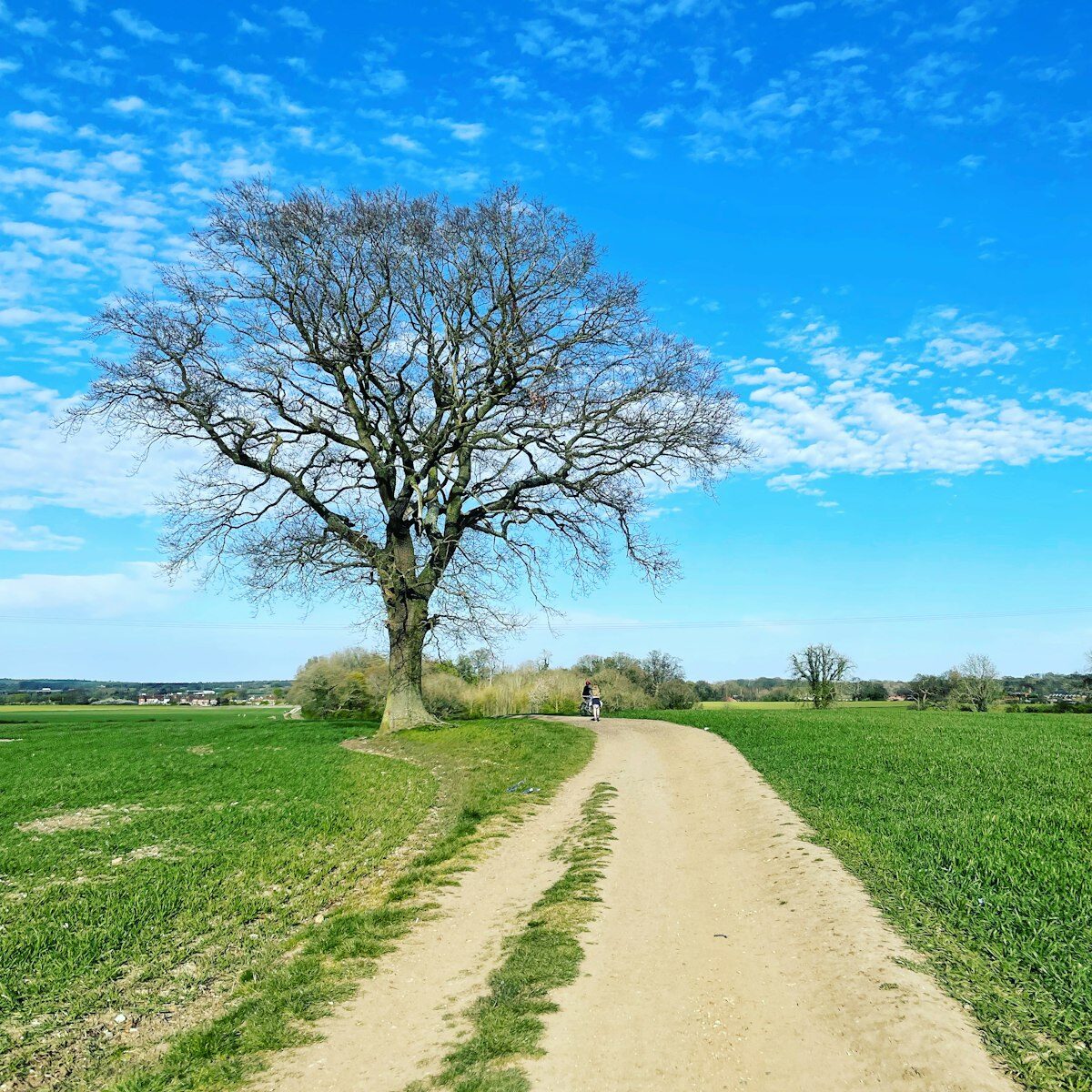 Pequenas aventuras no campo: natureza, simplicidade e muito riso